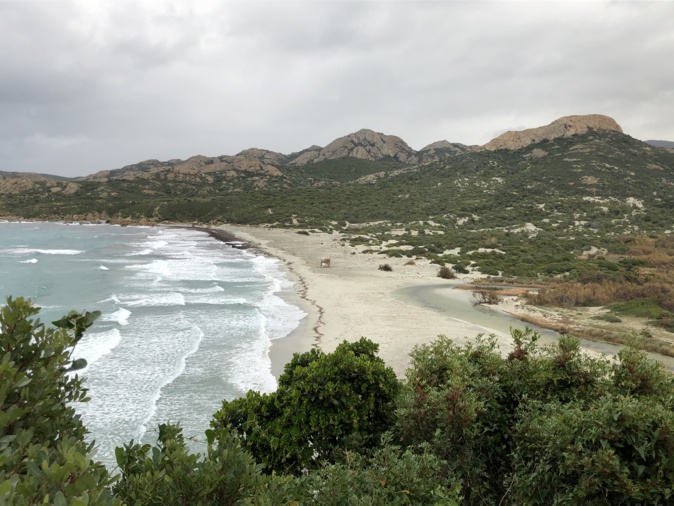 La fédération LR de Haute-Corse pour la réouverture des plages le 11 mai