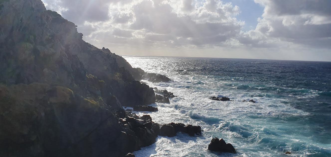 (Photo  Gabriella Sandor)