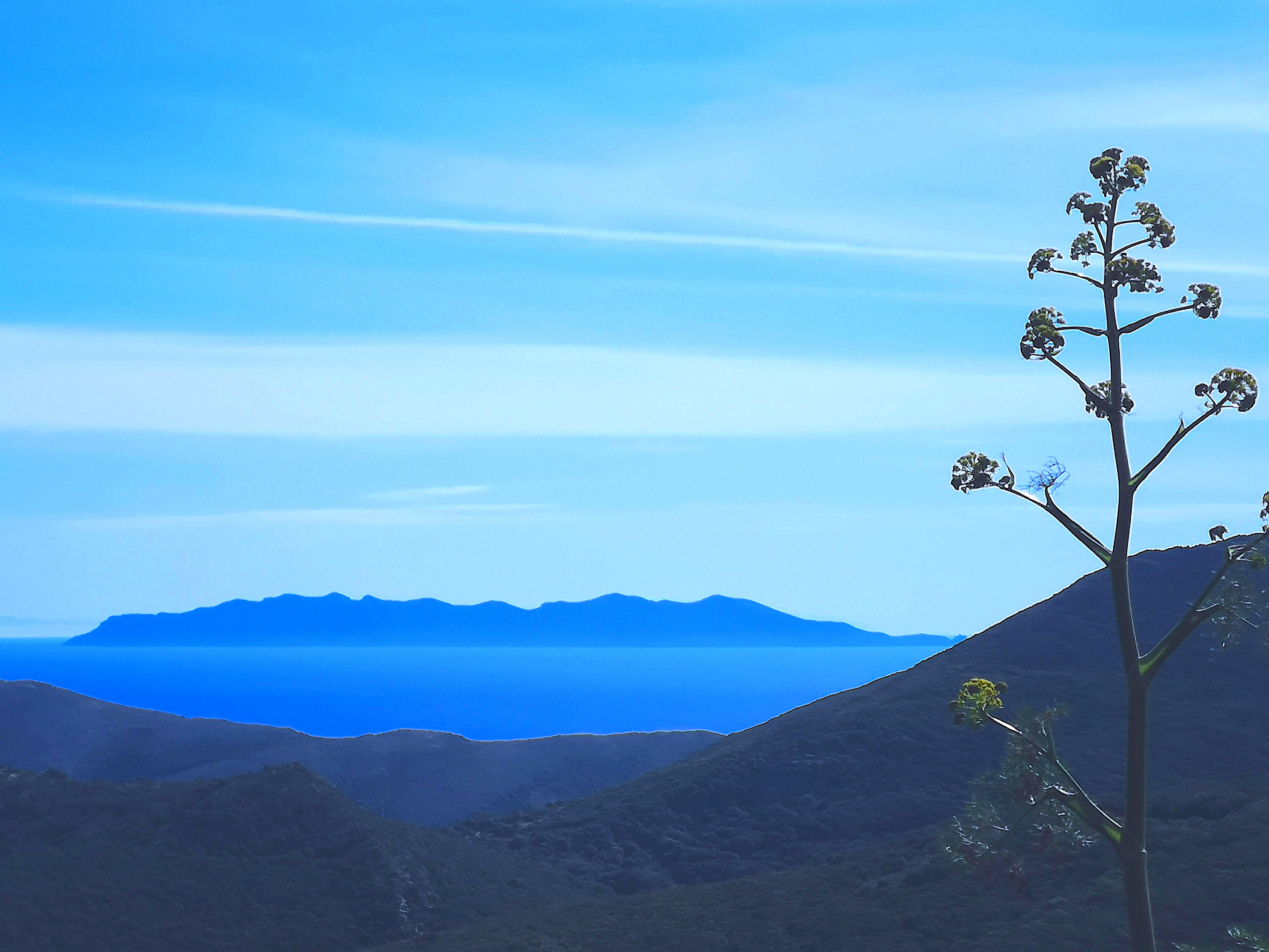 L’isula di Capraia suspesa trà celu è mare. ( Ghjuvanni Viva)