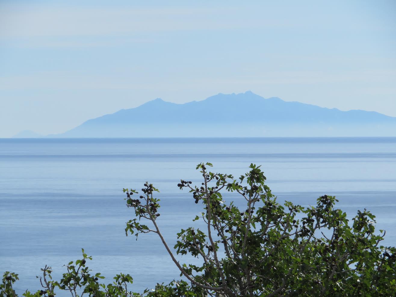 (Françoise Geronimi)