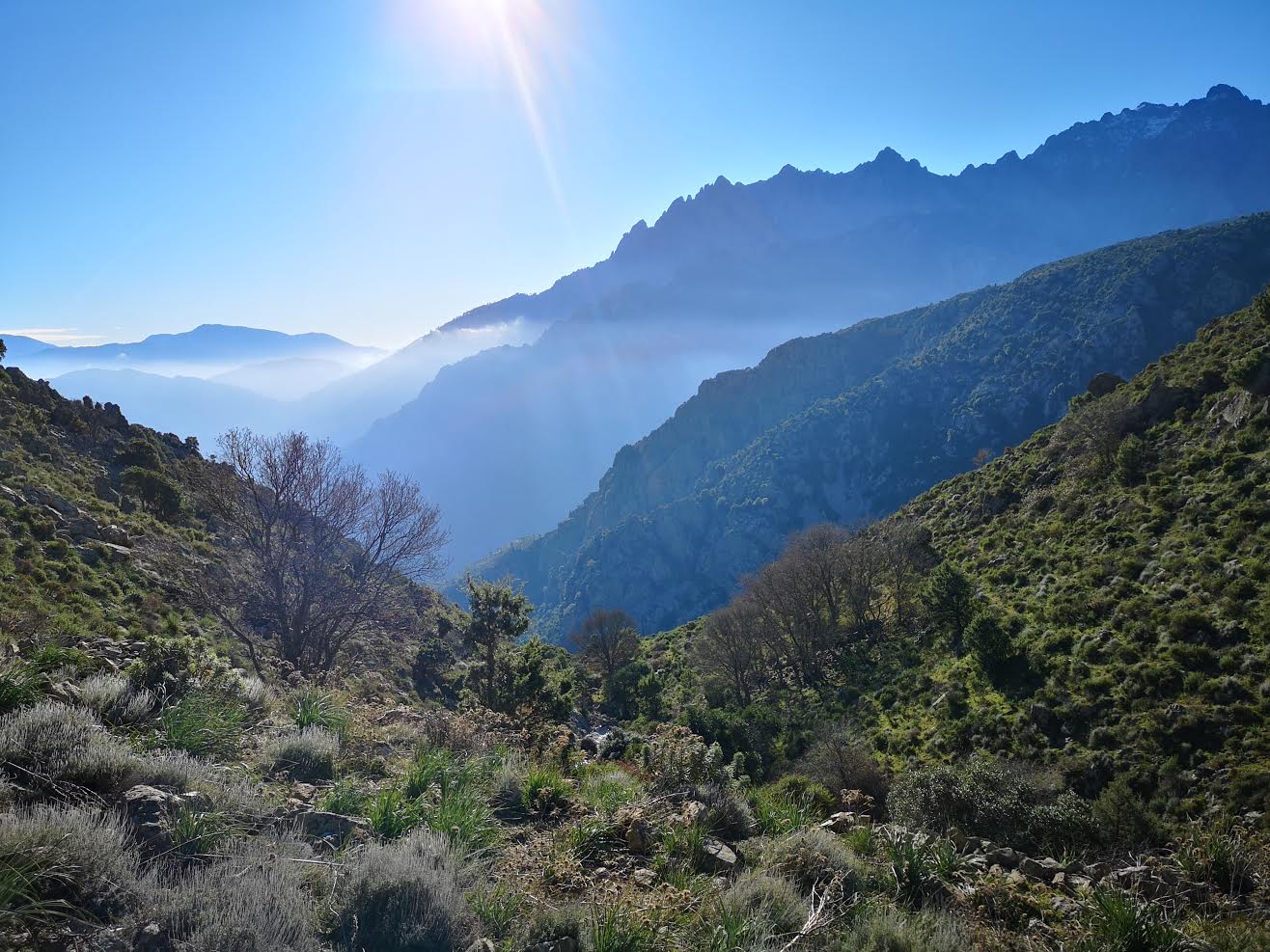 (Photo Françoise Geronimi)