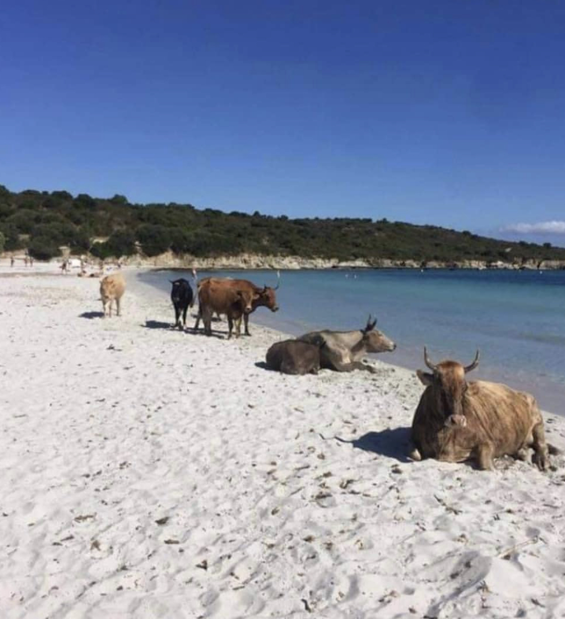 Photo Instagram Luduc2b