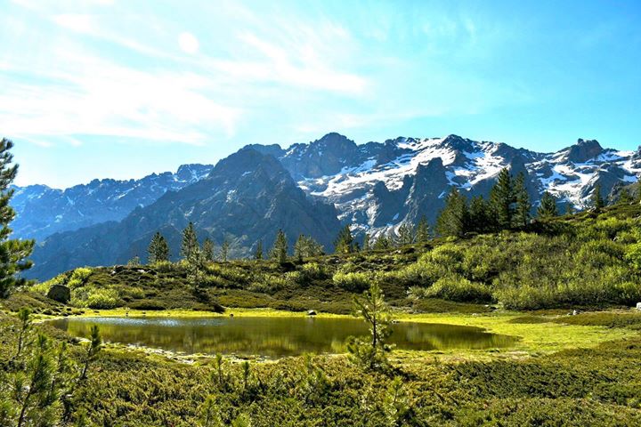 La photo du jour : la mare du Stranciacone