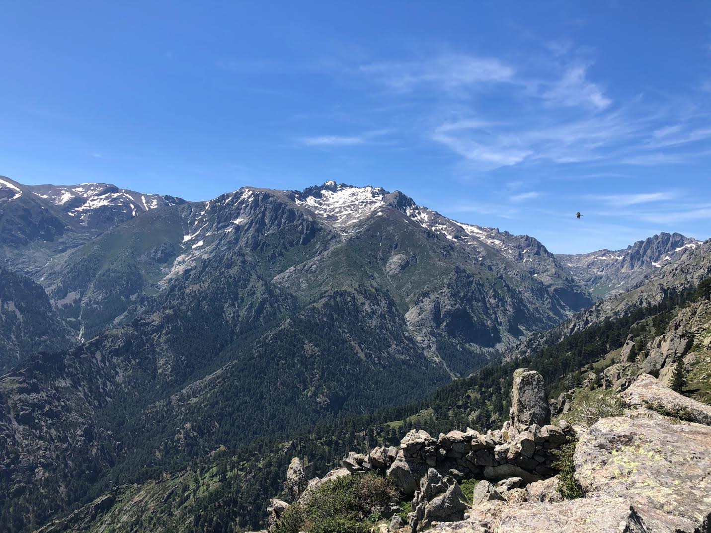La photo du jour : le massif du Ritondu vu depuis Alzu