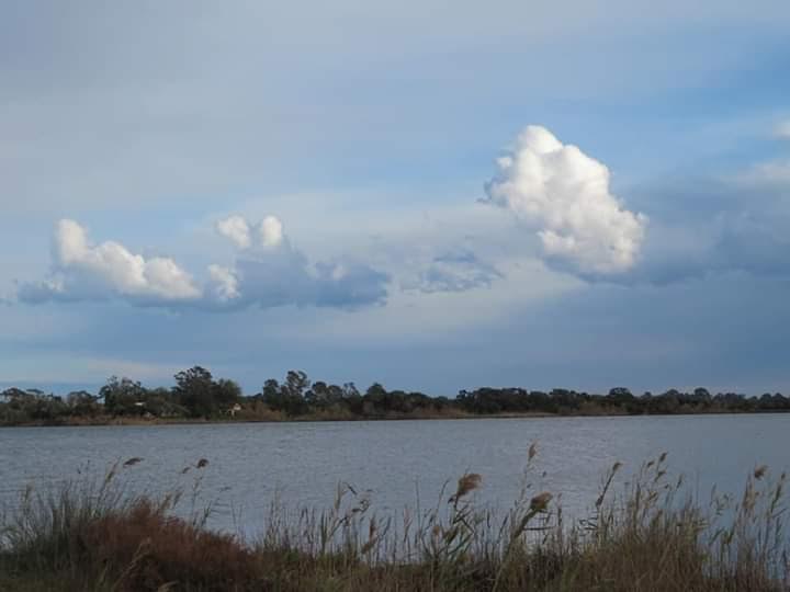 Etang de Chjurlinu (Photo Françoise Geronimi)