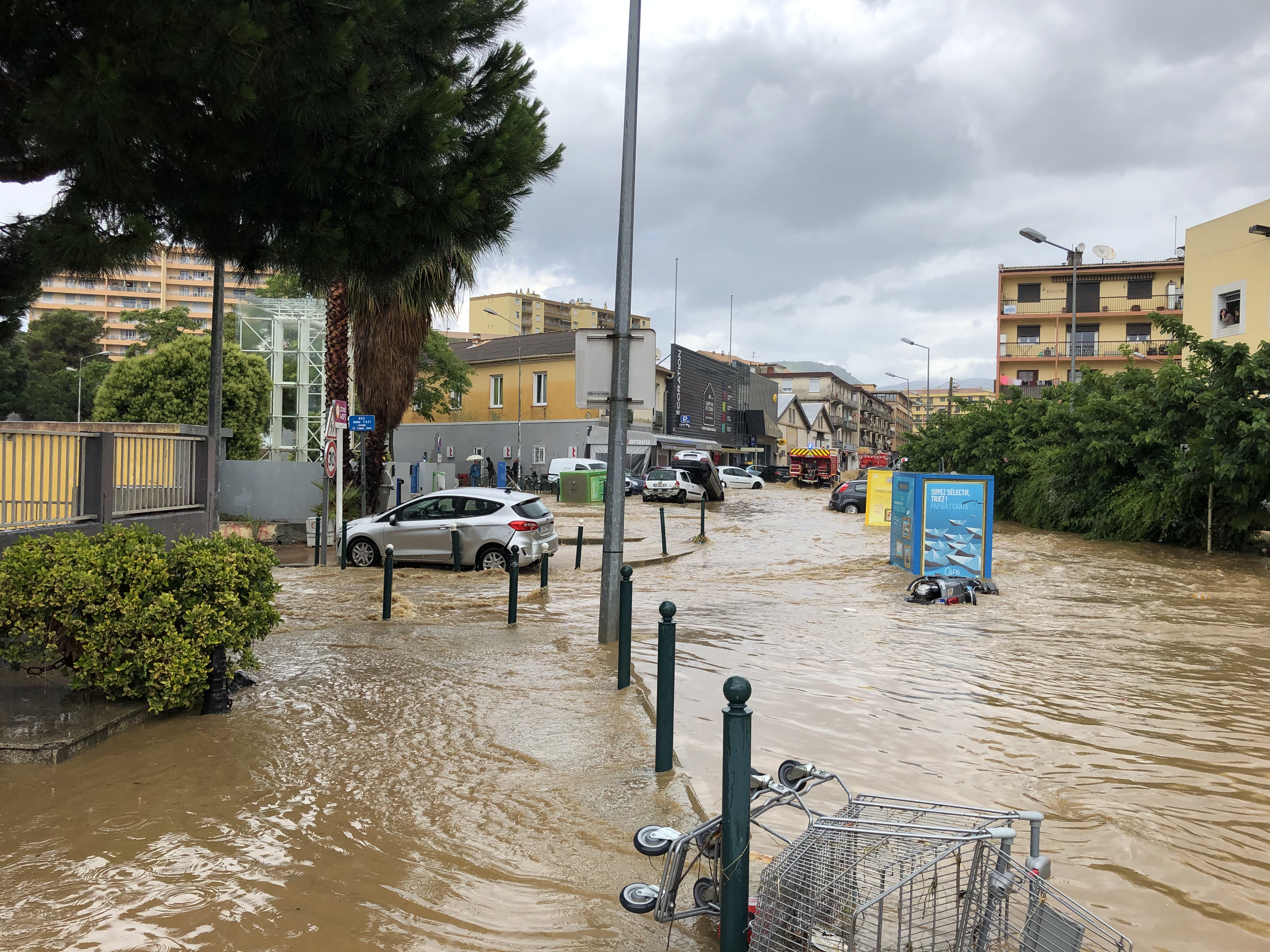 Photo de Michel Luccioni