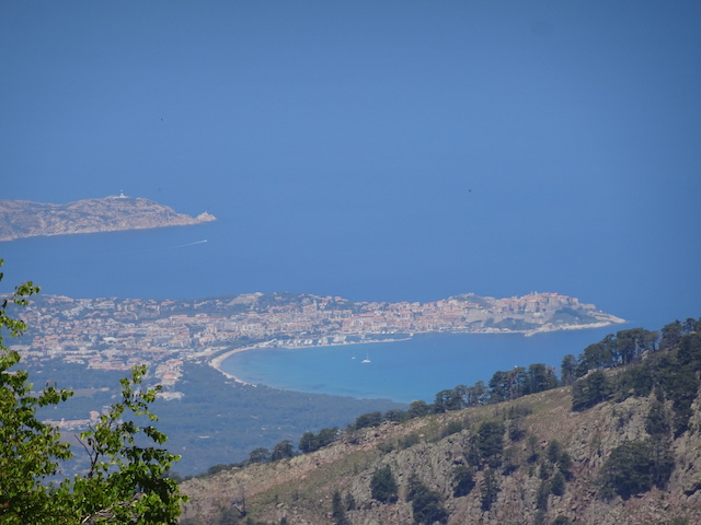 photo david dellacroce