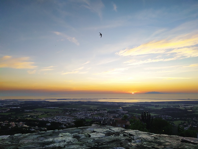 photo shikaku naruto