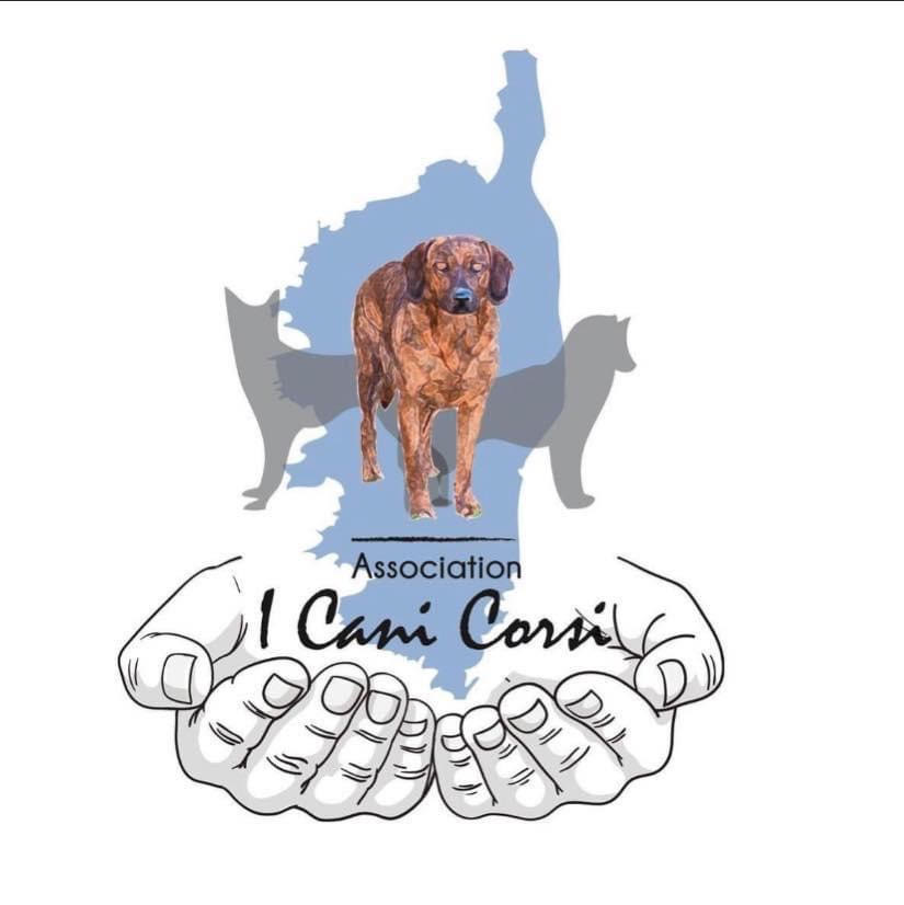 Aleria : l'association I Cani Corsi lance un appel aux dons pour soutenir le refuge