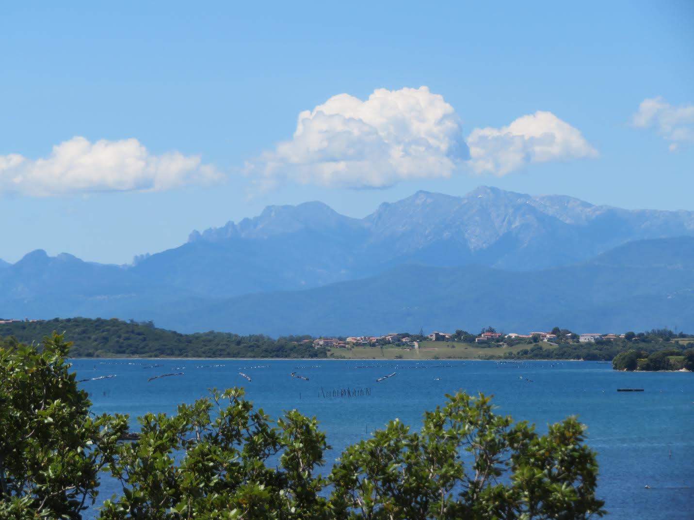 Etang de Diana (Françoise Geronimi)