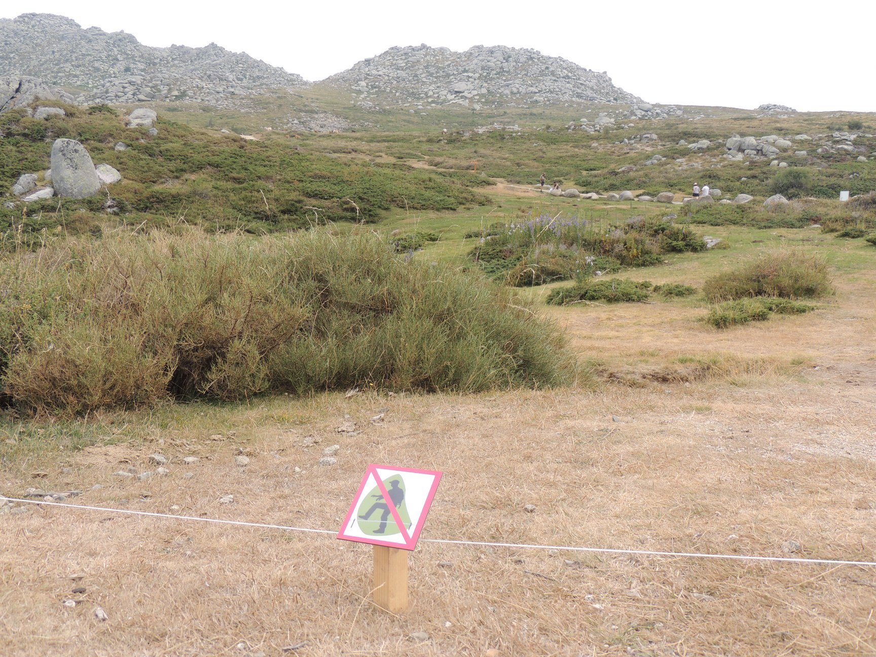 Dispositif de protection des Pozzine