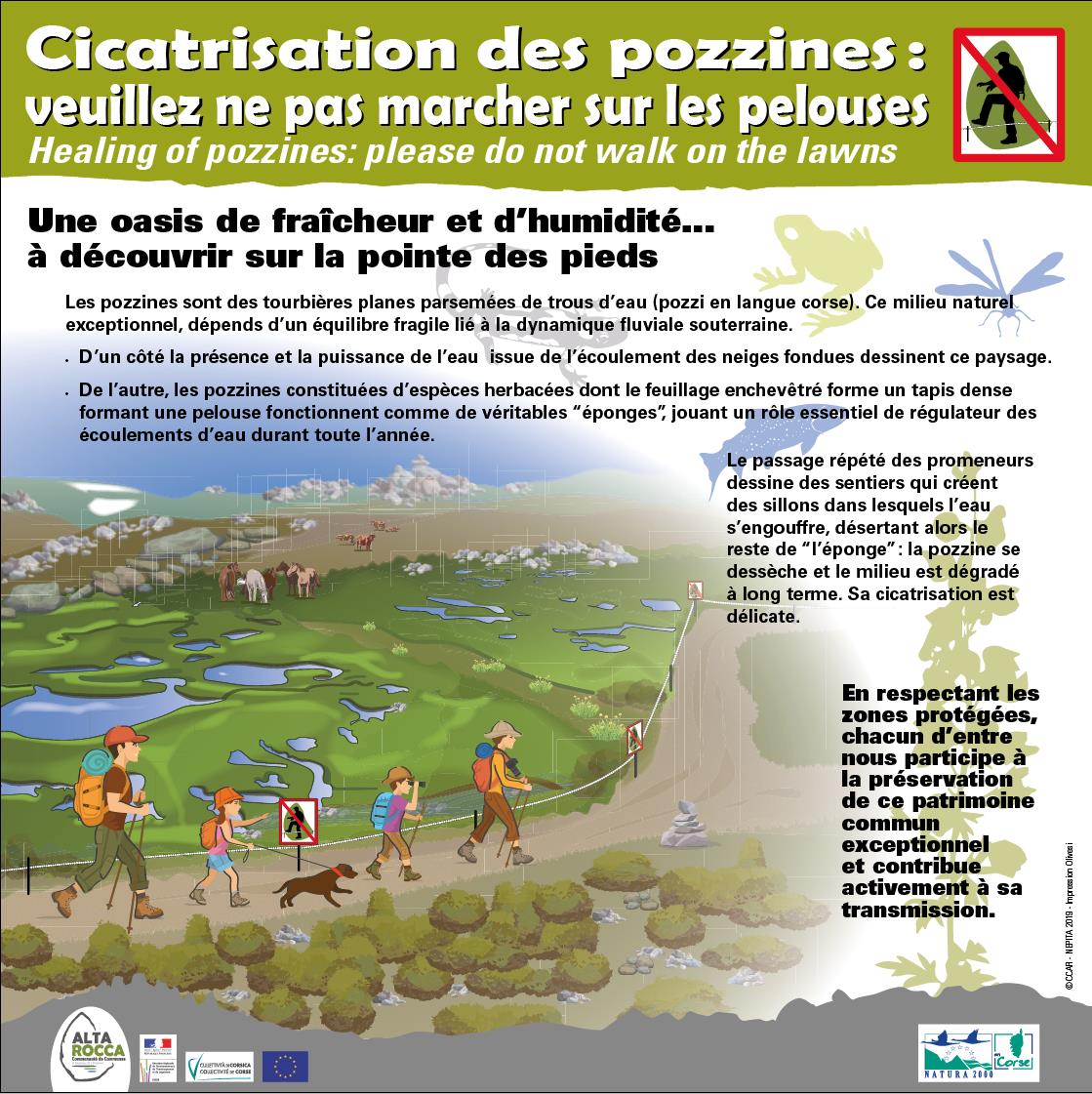 Au plateau du Coscionu : reconquête pastorale et préservation de la biodiversirté