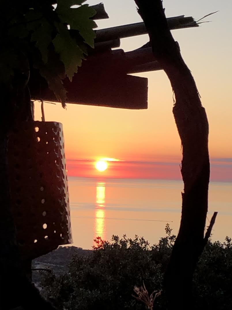 Pigna (David Dellacroce)