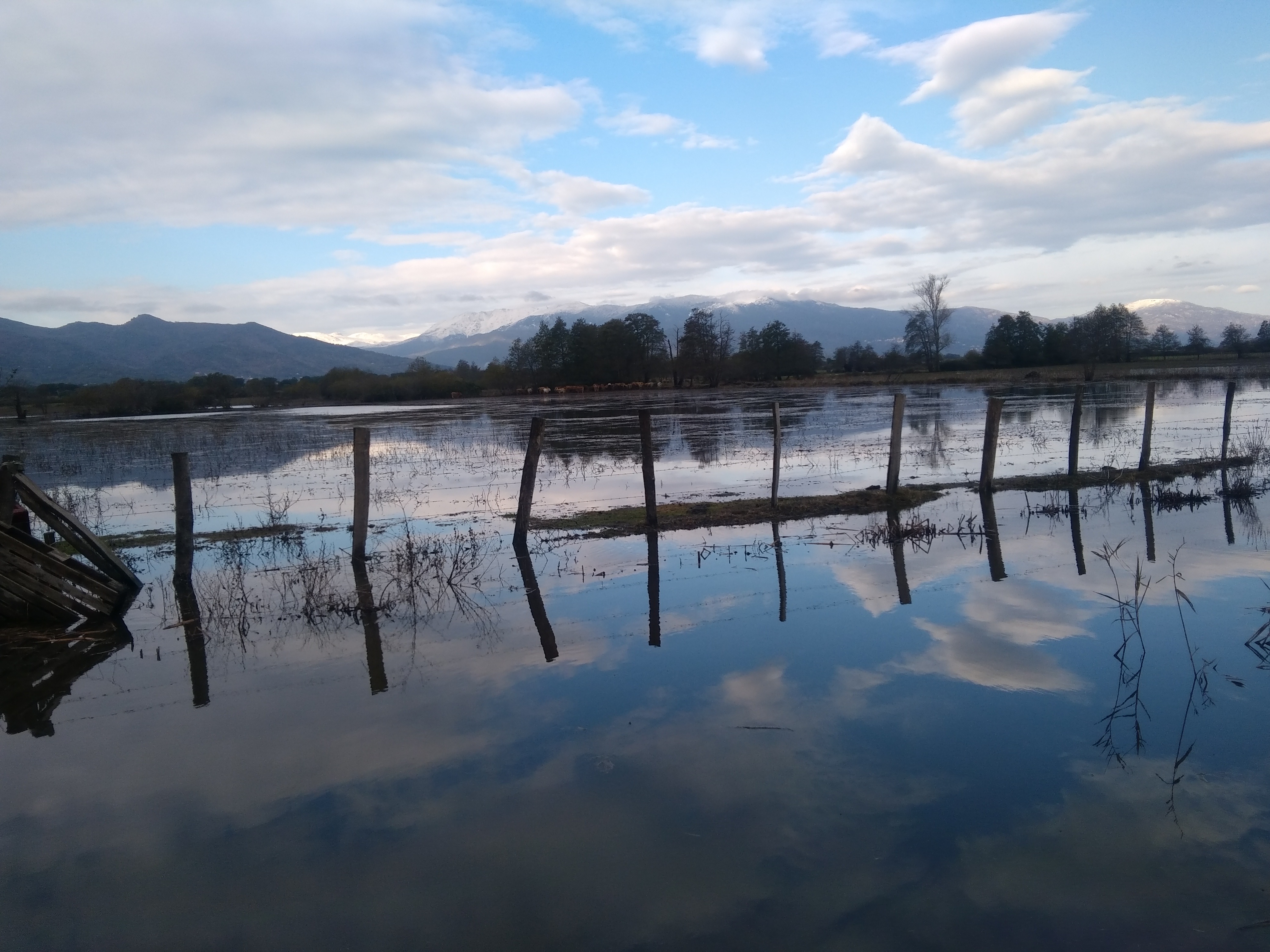 Sorbo - Ocagnano photo Eric Massol