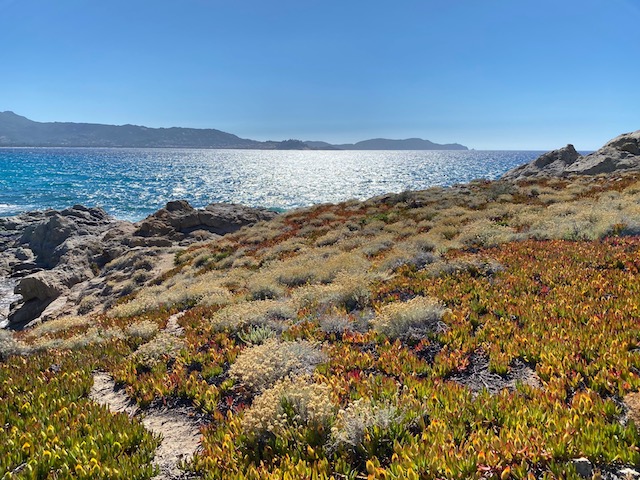 Lumio, Florence Guenot