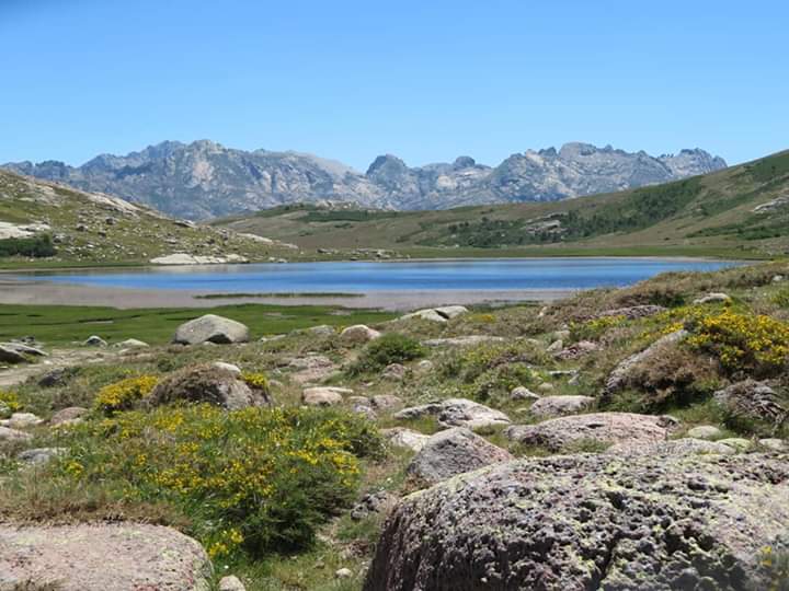 La photo du jour : Lac de Ninu, fleuron de la montagne corse
