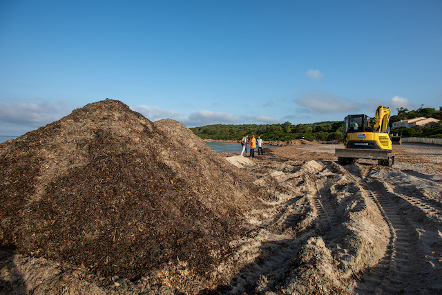 Photo Mairie d'Ajaccio
