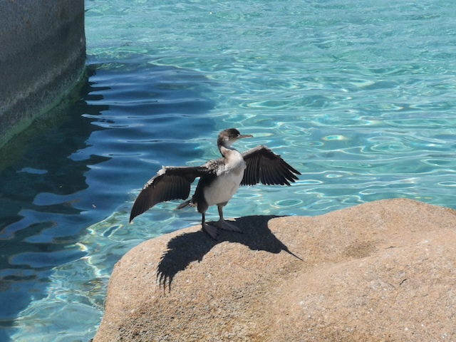 Photo Franck Tarussio