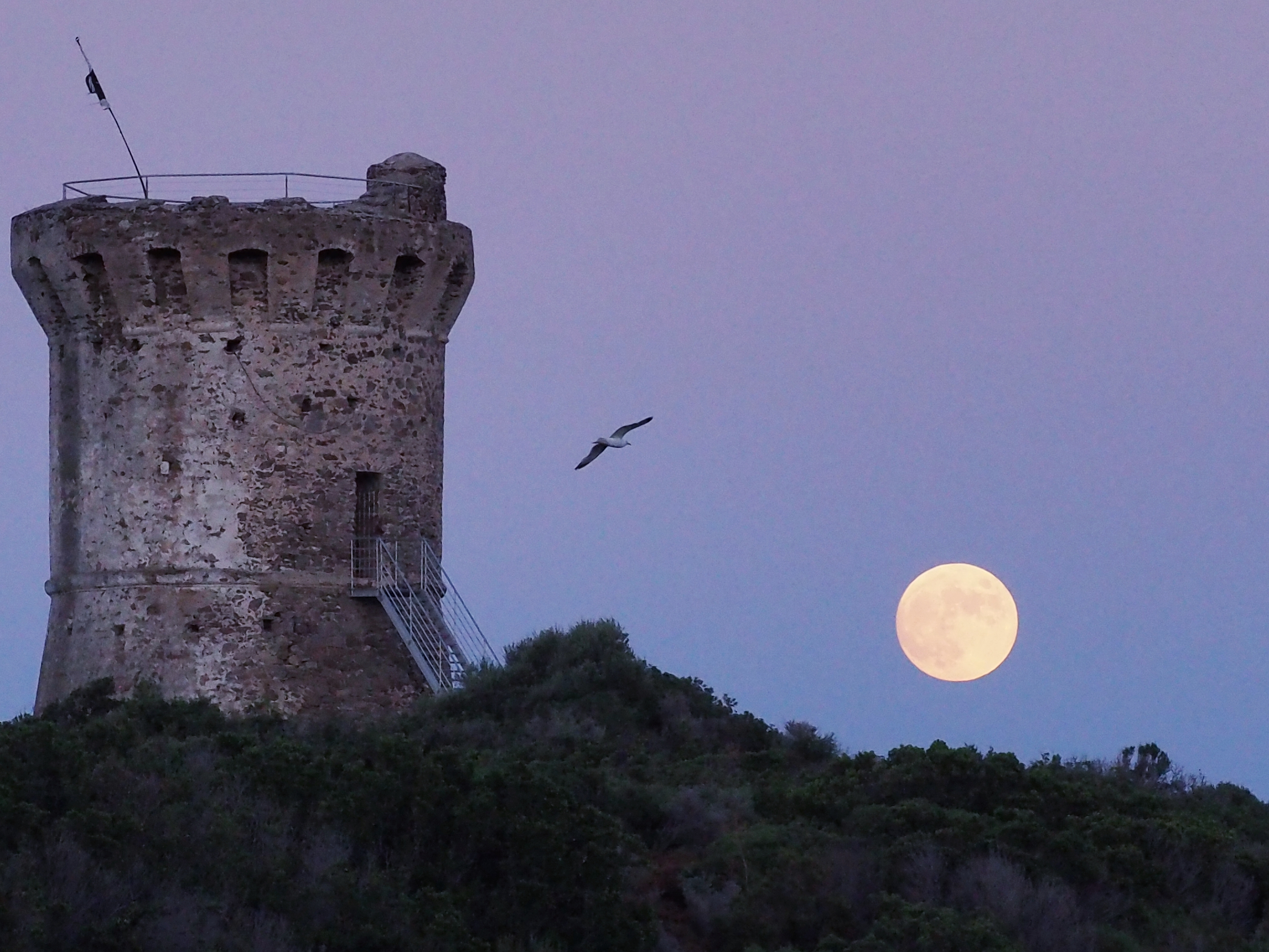 La photo du jour : clair de Lune sur la tour de Fautea