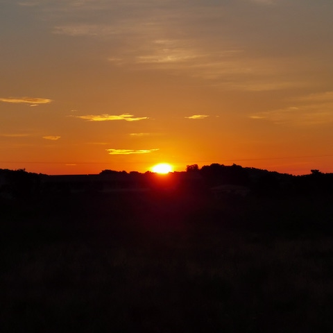 Photo Franck Tarussio