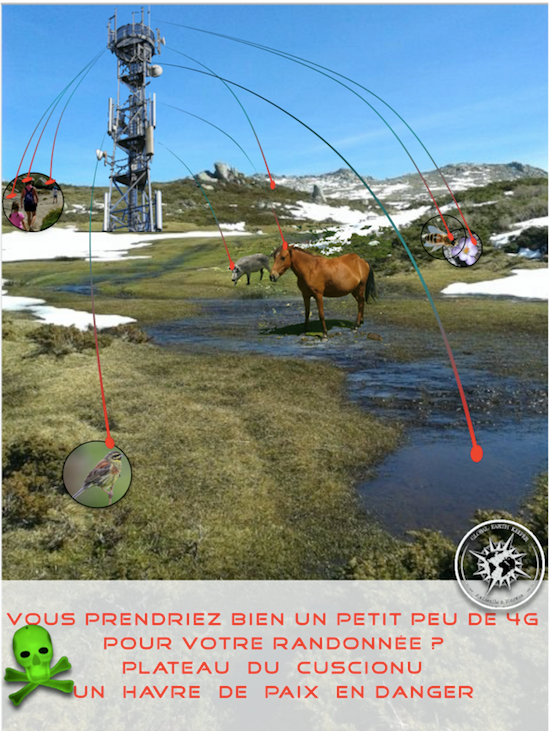 Global Earth Keeper lance une pétition contre l'installation des antennes 4 G sur le plateau du Cuscionu