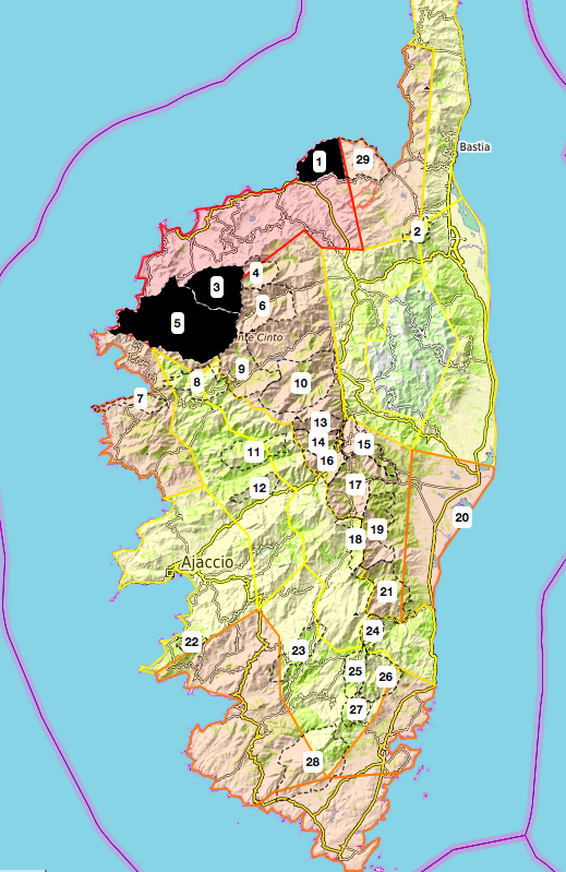 Risque incendie : 3 massifs forestiers corses fermés