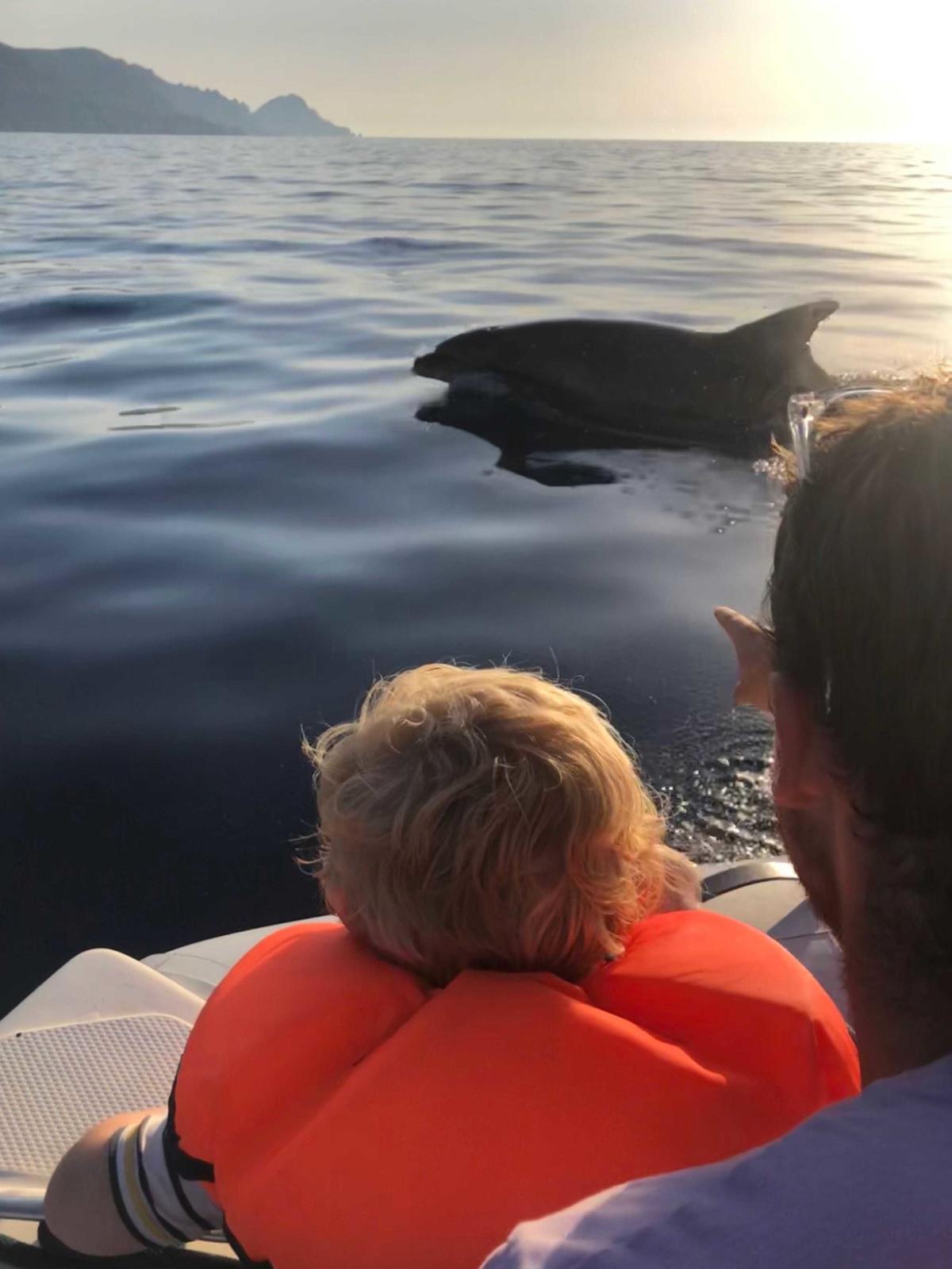 Porto : le dauphin et l'enfant