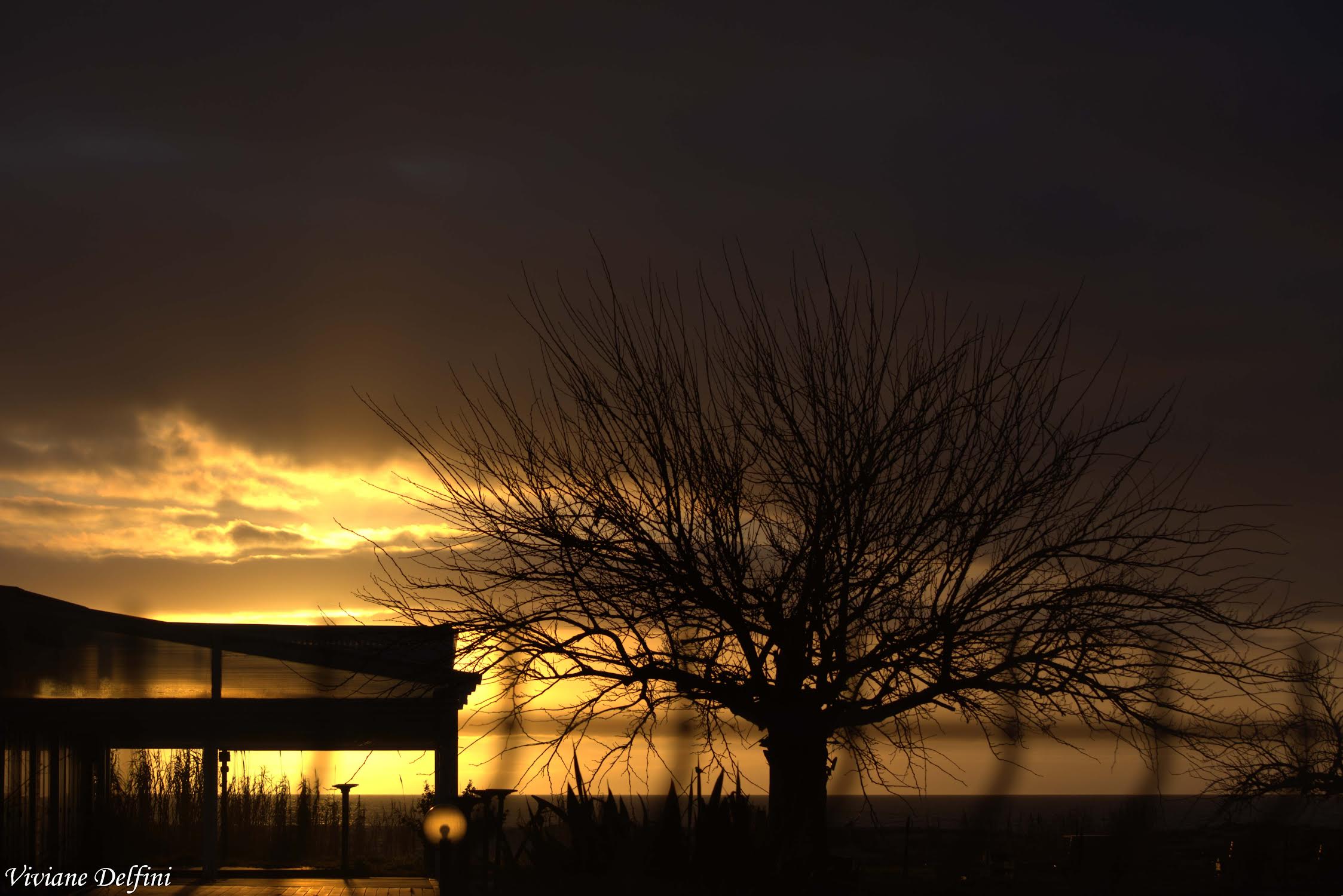 A màghjina - L’ultimi lumi di u Liamone