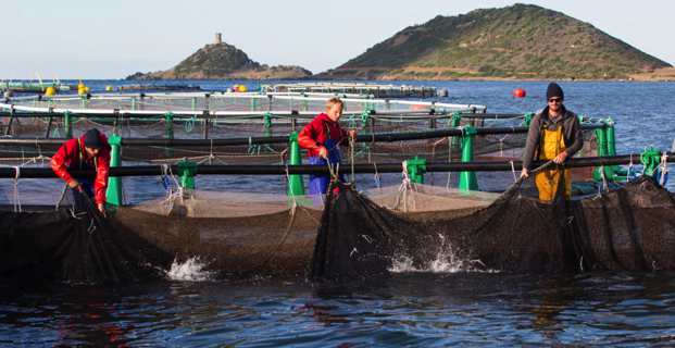 Crédit photo Femu Qui - Corse Net Infos.