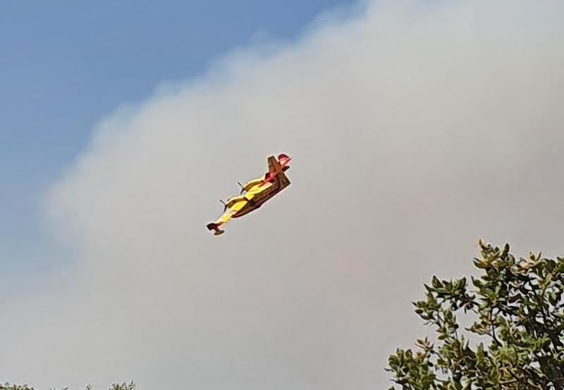 Les canadair se sont longtemps employés dans la région ajaccienne  (Jean-Pierre Vouillot)