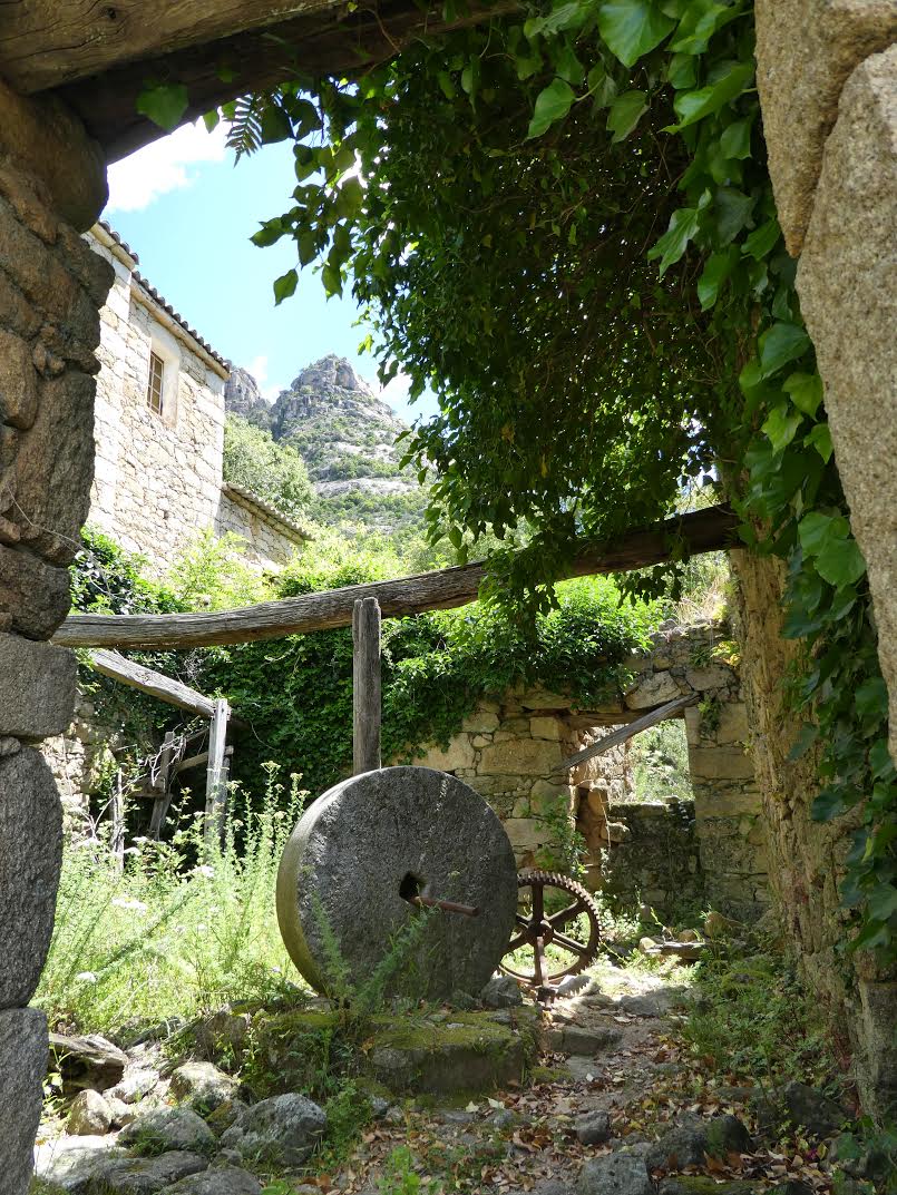 La photo du jour : a magina di Muna