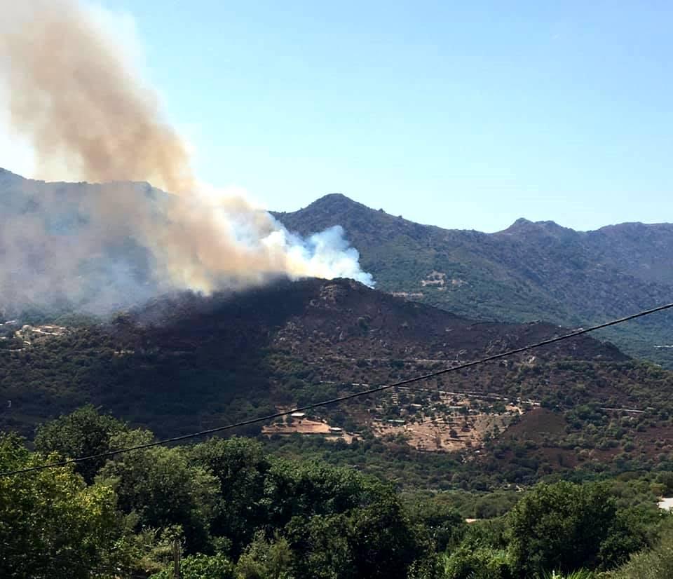 Nouveau départ de feu à Muro : 2 hectares détruits