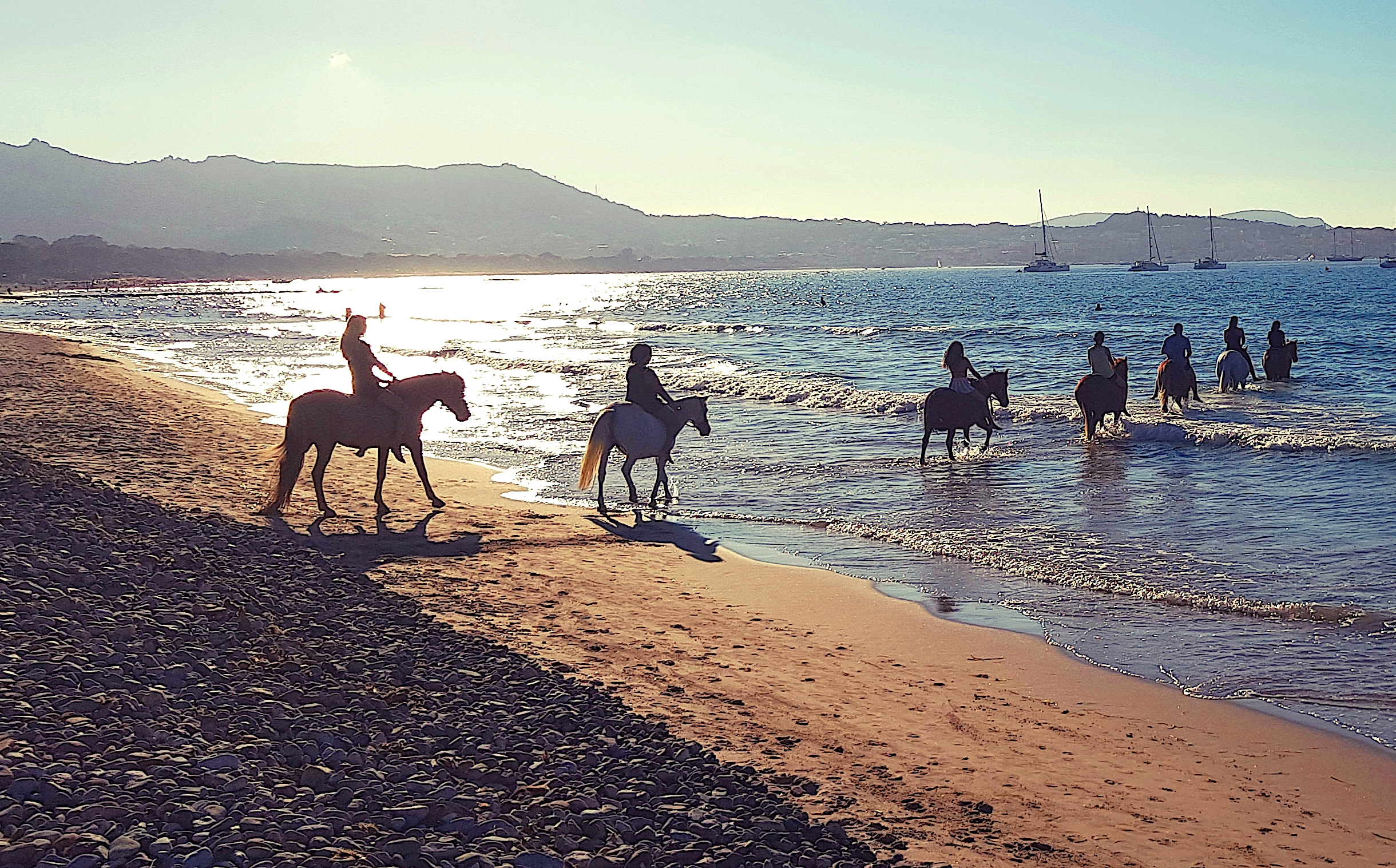 La photo du jour : balade équine au crépuscule