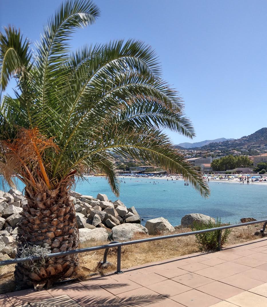 Lisula Rossa Encore (Alain Hebrard)