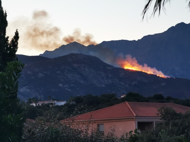 Le feu à Montegrosso (Photo Romain Guichard)