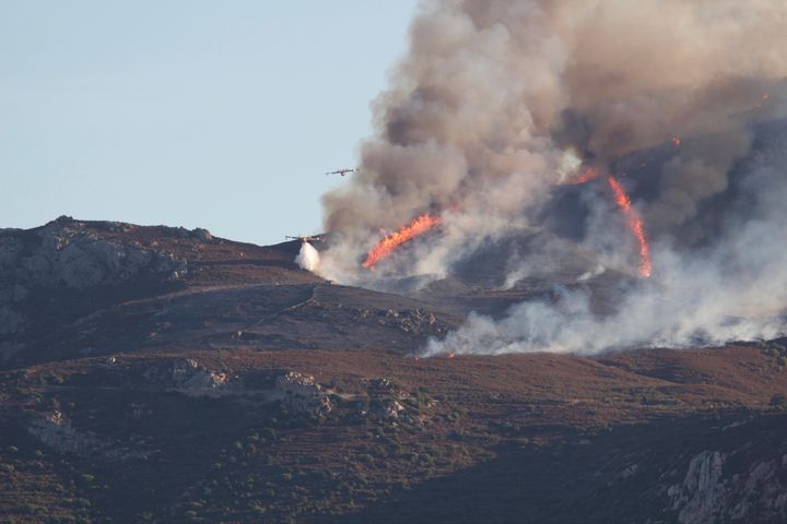 L'incendie du Col de Salvi a déjà ravagé une trentaine d'hectares de maquis et chênes