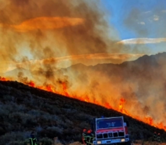 L'Incendie de Montegrosso "fixé". Le bilan est très lourd : 180 hectares