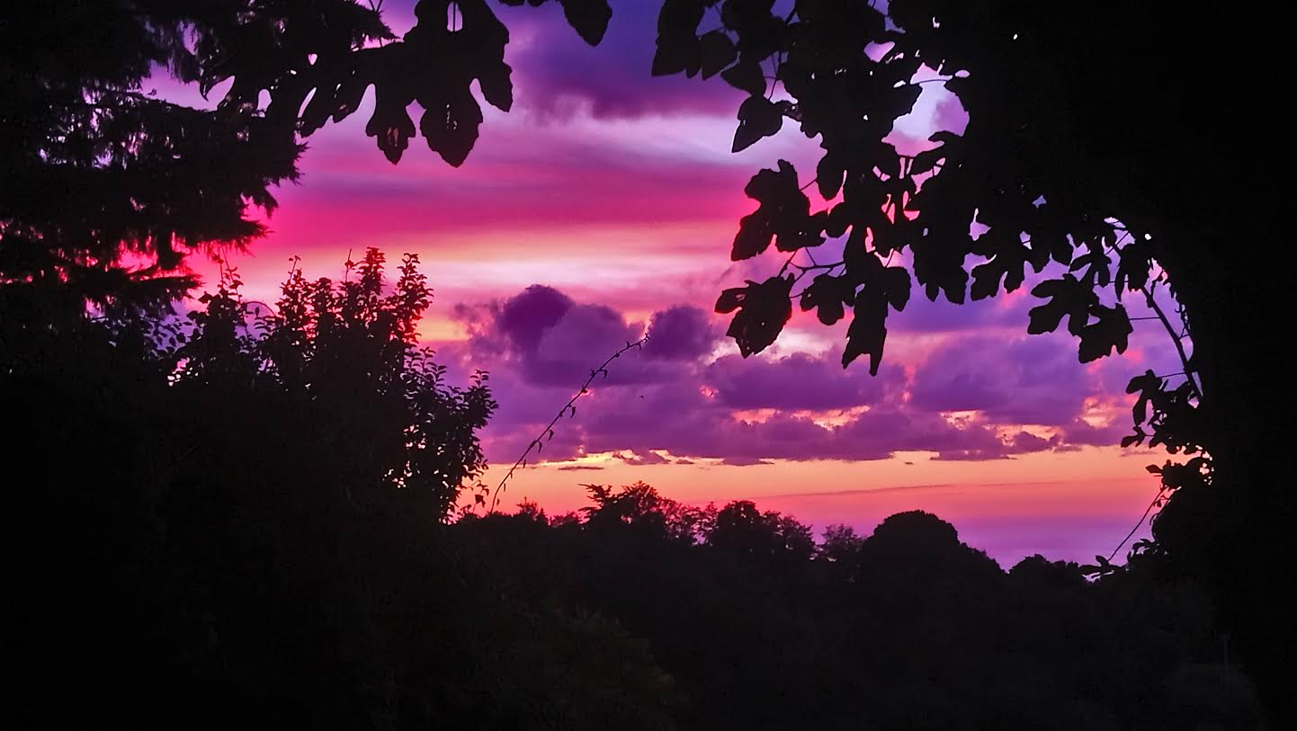 Calcatoggio (Michéle Multedo)