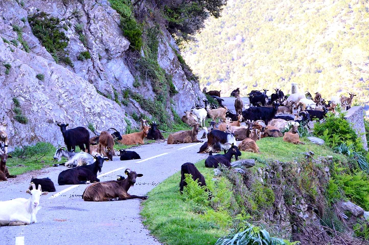 La photo du jour : entre Pietra et Novale