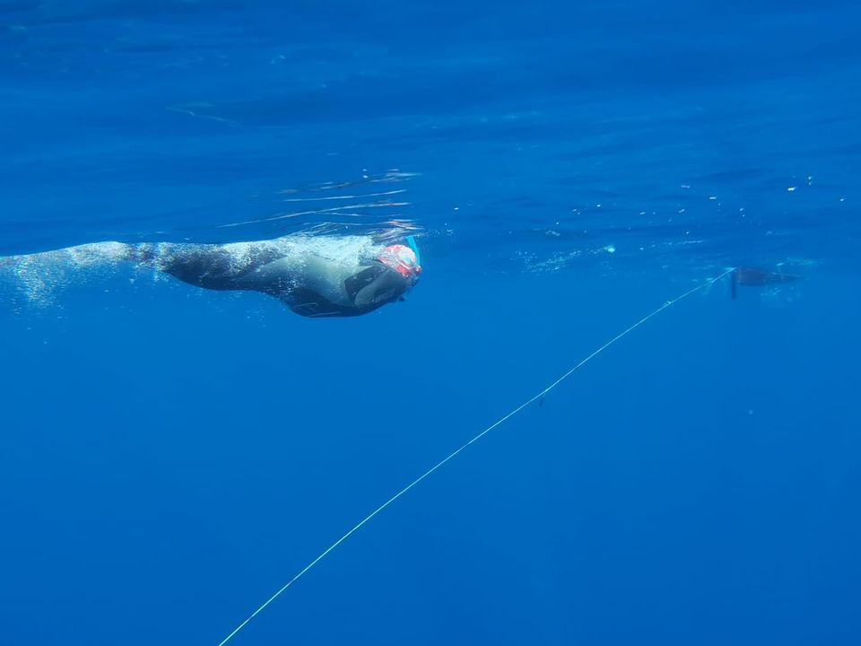 Des nouvelles de Thierry Corbalan, l'homme dauphin corse