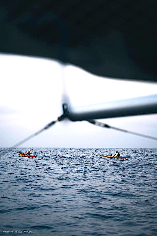 180 km en monopalme entre Calvi et Mandelieu La Napoule : Thierry Corbalan l'a fait !