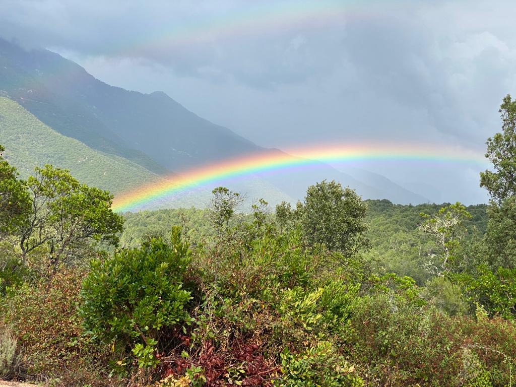 L"arcubalenu a sceltu di ciutassi in Lopigna (Photo Joëlle Paccioni)