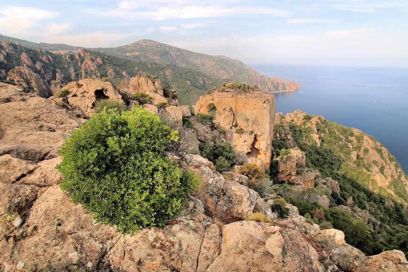 La photo du jour : le château de Porto et les calanche