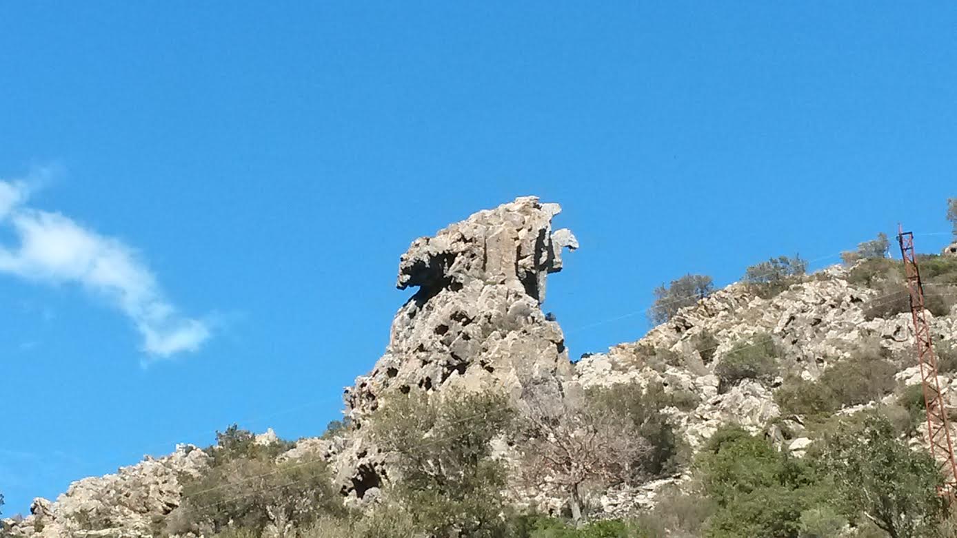 La photo du jour : entre Barchetta et Ponte Novu, un aigle de pierre