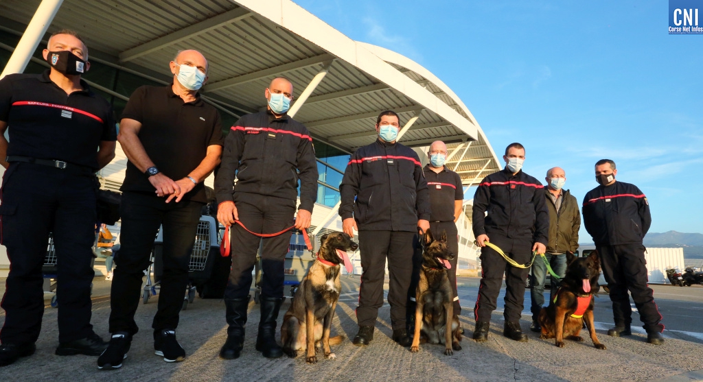 Tempête Alex : Trois chiens du SIS 2A en renfort vers les Alpes-Maritimes