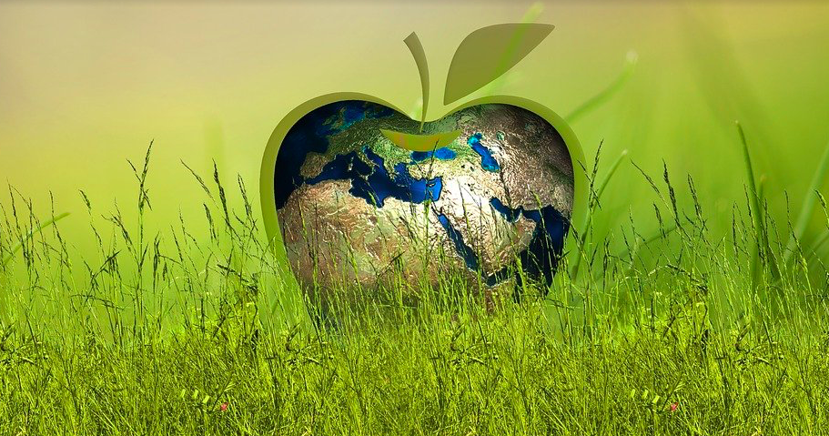 En Corse les jeunes agissent pour un tourisme responsable 