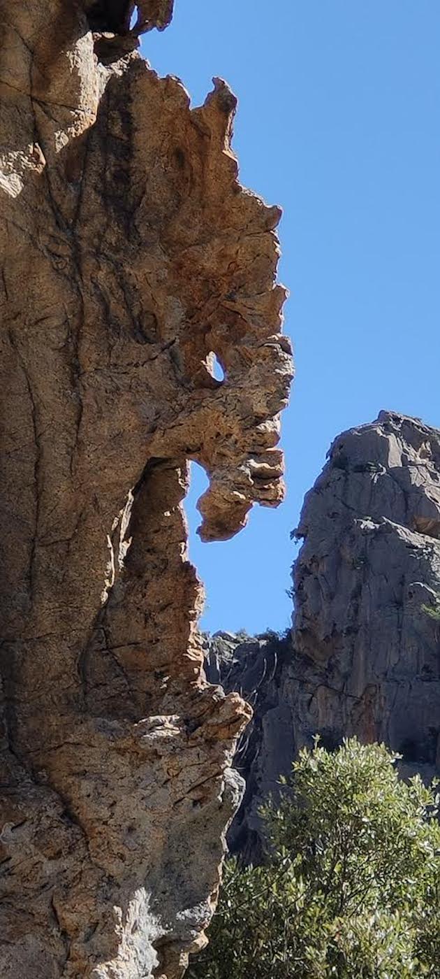 La photo du jour : monstre figé dans la roche