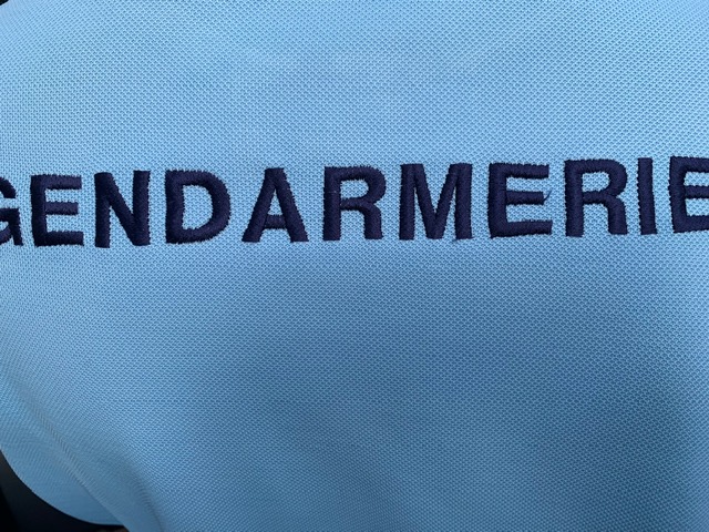 Bovins retrouvés sans vie à Ostriconi : un vétérinaire sur place