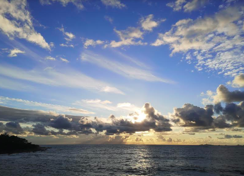 Photo Stéphanie Ingram