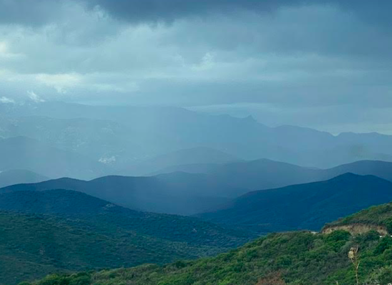 Photo Florence Guinot